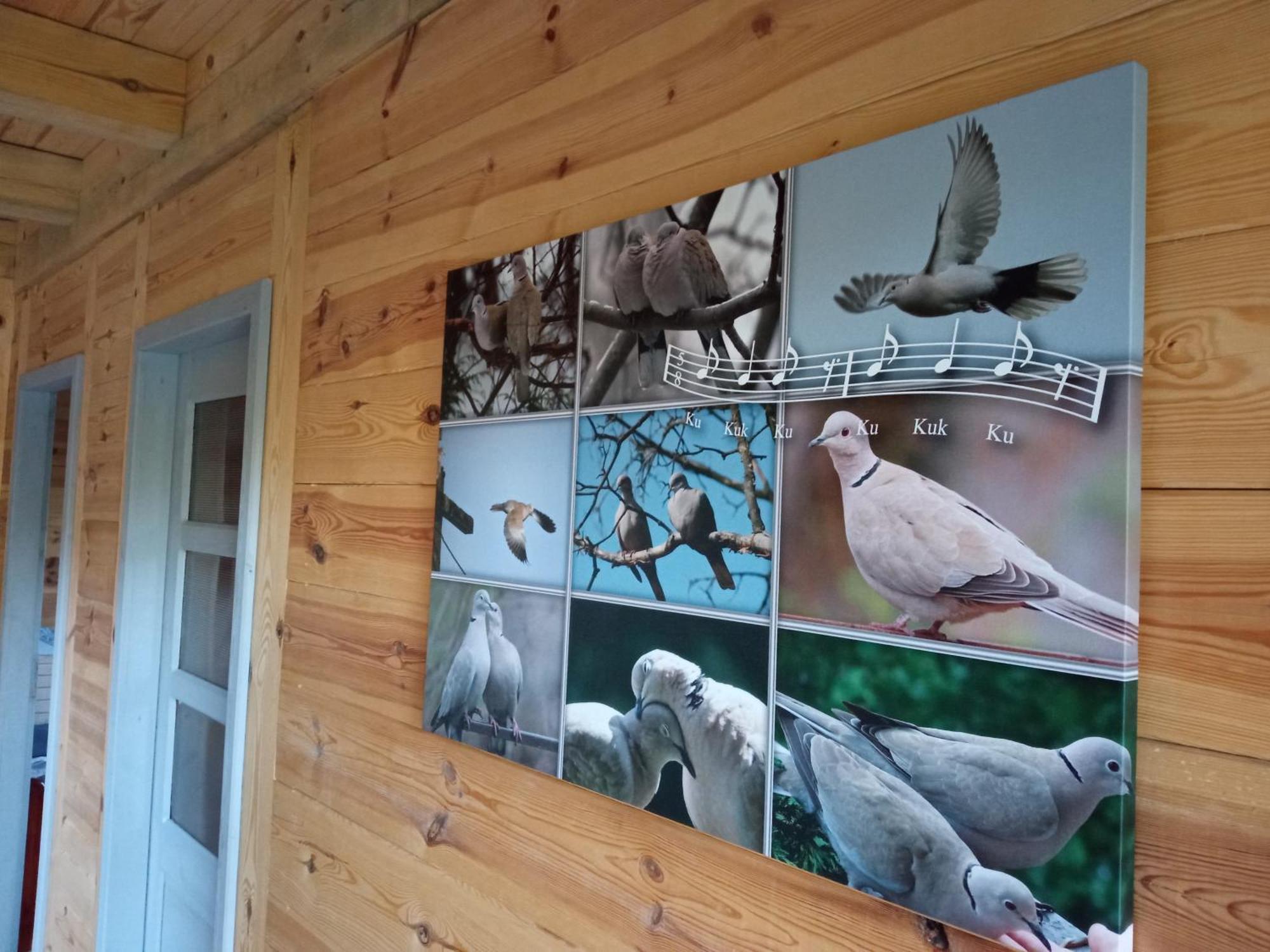Przystanek Zascianek- Domki Letniskowe Susiec Exteriör bild
